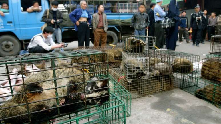 Autoridades governamentais apreendem animais em mercado em Xinyuan para prevenir a dispersão do Sars em 2004
