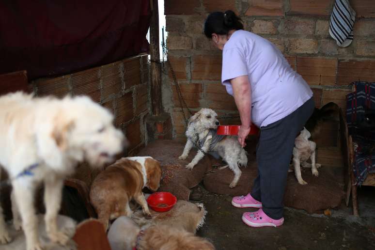 Blanca Rodríguez cuida de animais em abrigo de Bogotá
04/04/2020
REUTERS/Luisa Gonzalez