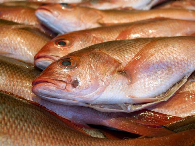 Guia da Cozinha - Saiba quais cuidados ter ao comprar peixe para a Sexta-Feira Santa