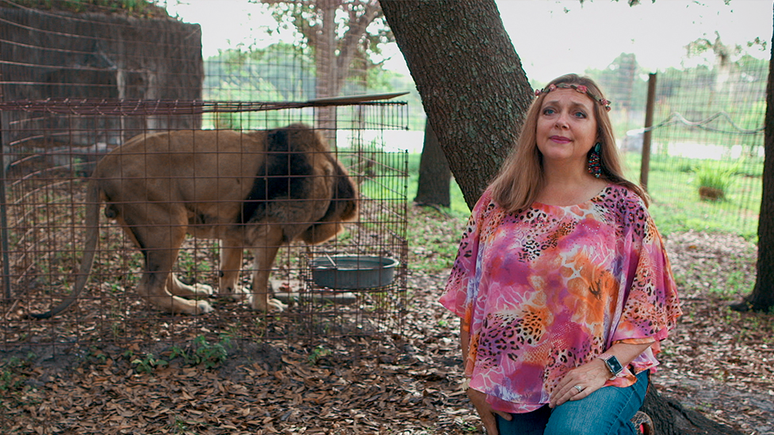 Carole Baskin coordena a reserva Big Cat Rescue, em Tampa, na Florida