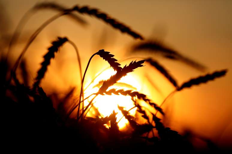 08/09/2019. REUTERS/Ilya Naymushin