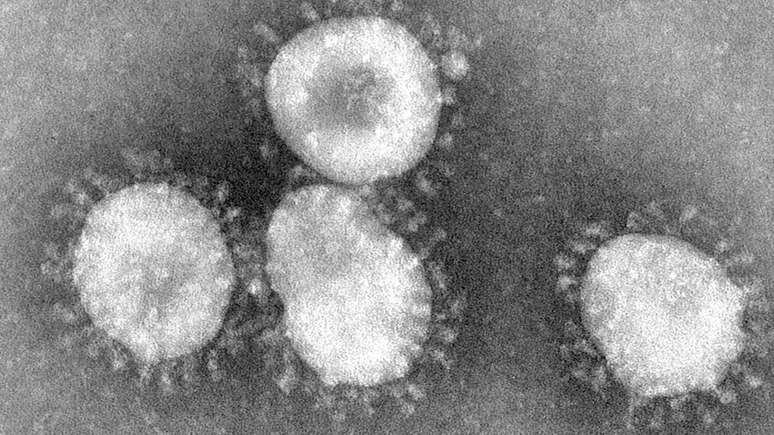 Coronavírus são um grupo de vírus que tem uma espécie de coroa em volta