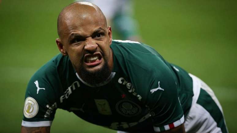 Felipe Melo costuma comemorar seus gols no Verdão imitando pitbull (Cesar Greco/Agência Palmeiras/Divulgação)