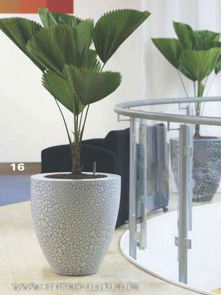 22. Vaso branco com palmeira leque &ndash; Via: Pinterest