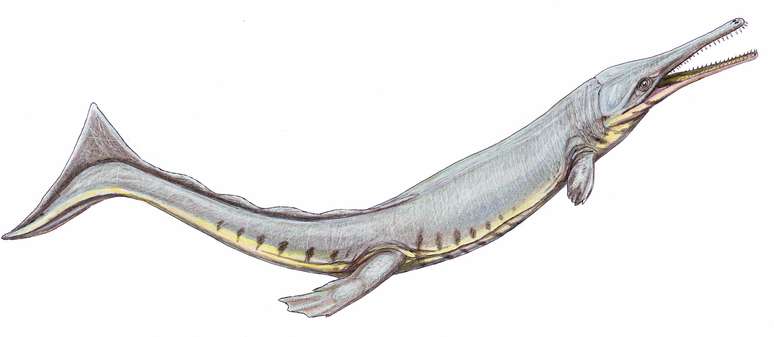 20/04/2020.  Dmitry Bogdanov/Handout via REUTERS