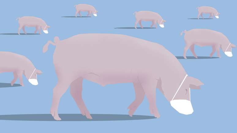 Smithfield &eacute; a nona maior processadora de carne de porco dos Estados Unidos