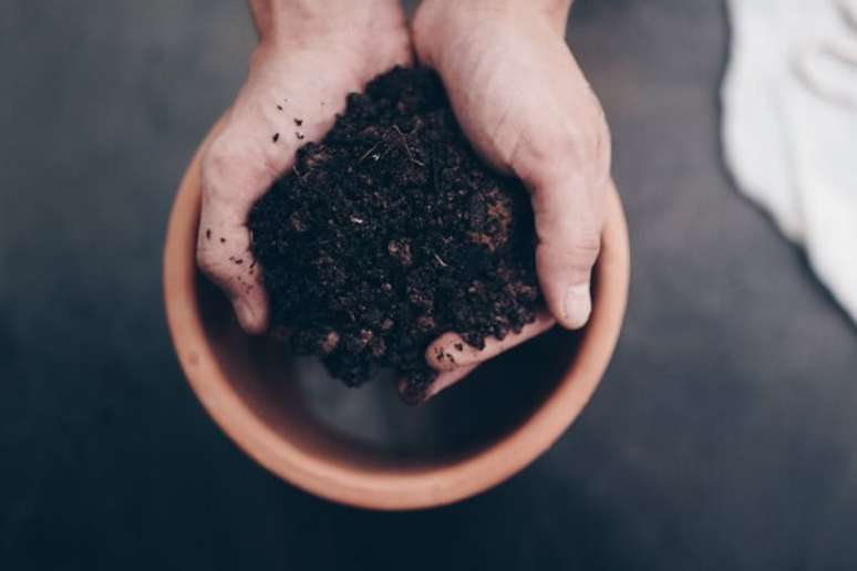 2. Os cuidados da planta flor de maio podem ser considerados f&aacute;ceis, mas devem ser seguidos &ndash; Foto: Via Pinterest