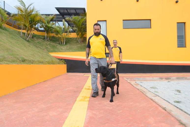 O instrutor George Harrison treina cães-guia no Instituto Magnus, um dos poucos voltados para a área no Brasil