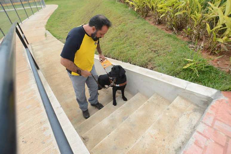 Treinamento busca acostumar o cão-guia a atividades ligadas ao dia a dia de qualquer pessoa