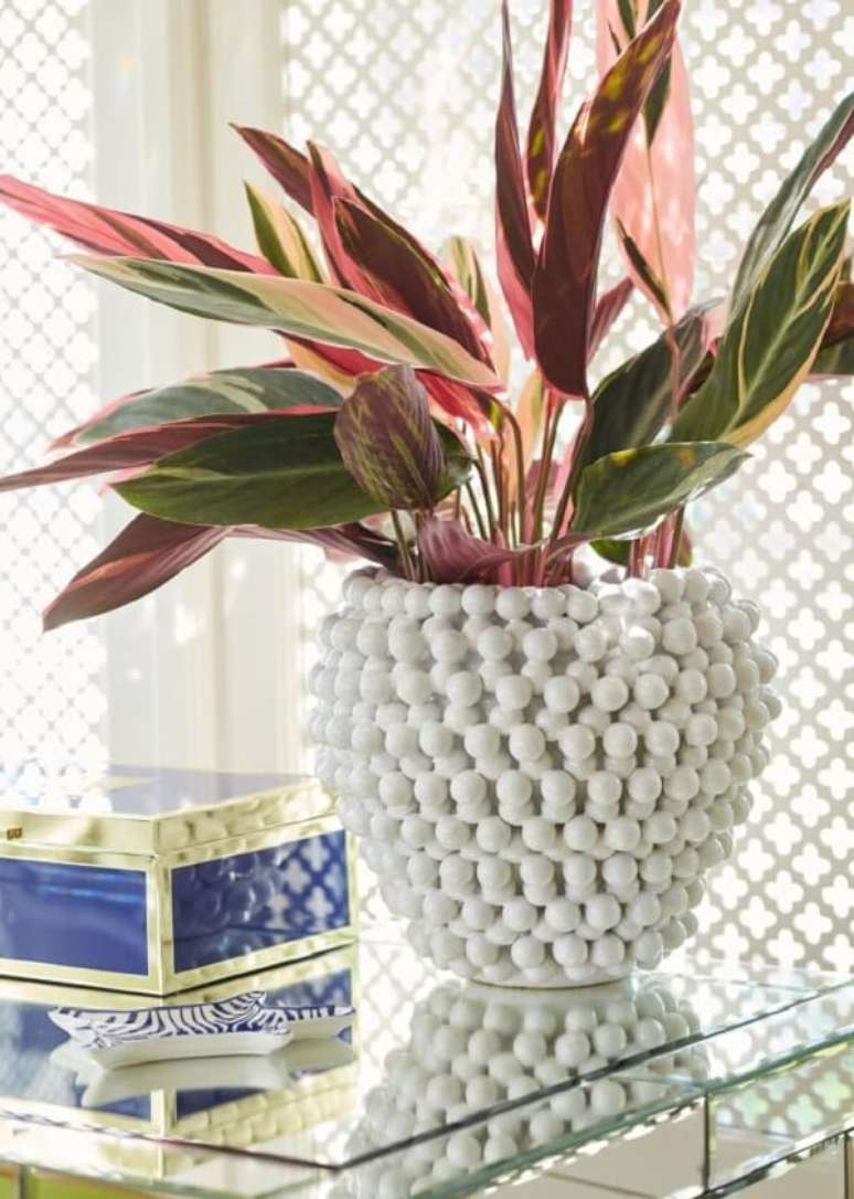 19. A maranta &eacute; perfeita para ambientes internos. Fonte: Viajando no Ap&ecirc;