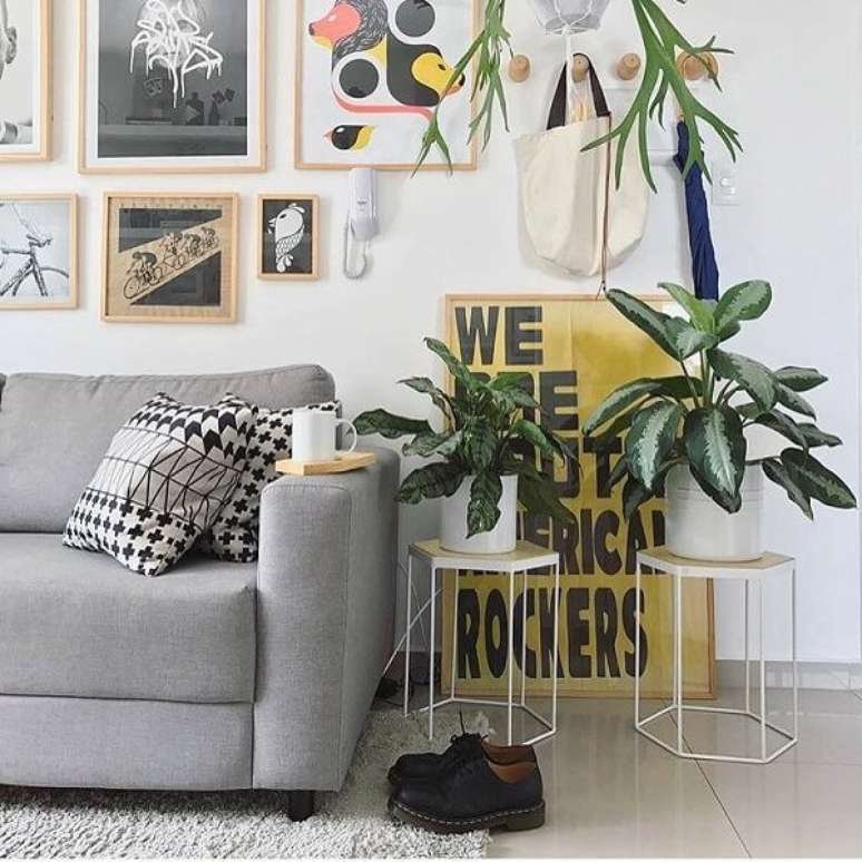 13. Decore a sala de estar com maranta. Fonte: Dicas de Mulher