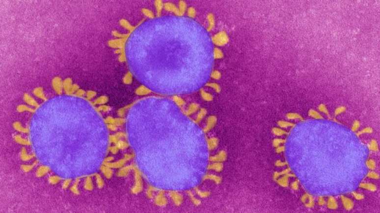 Coronavírus visto no microscópio: vírus já infectou mais de 3 milhões de pessoas