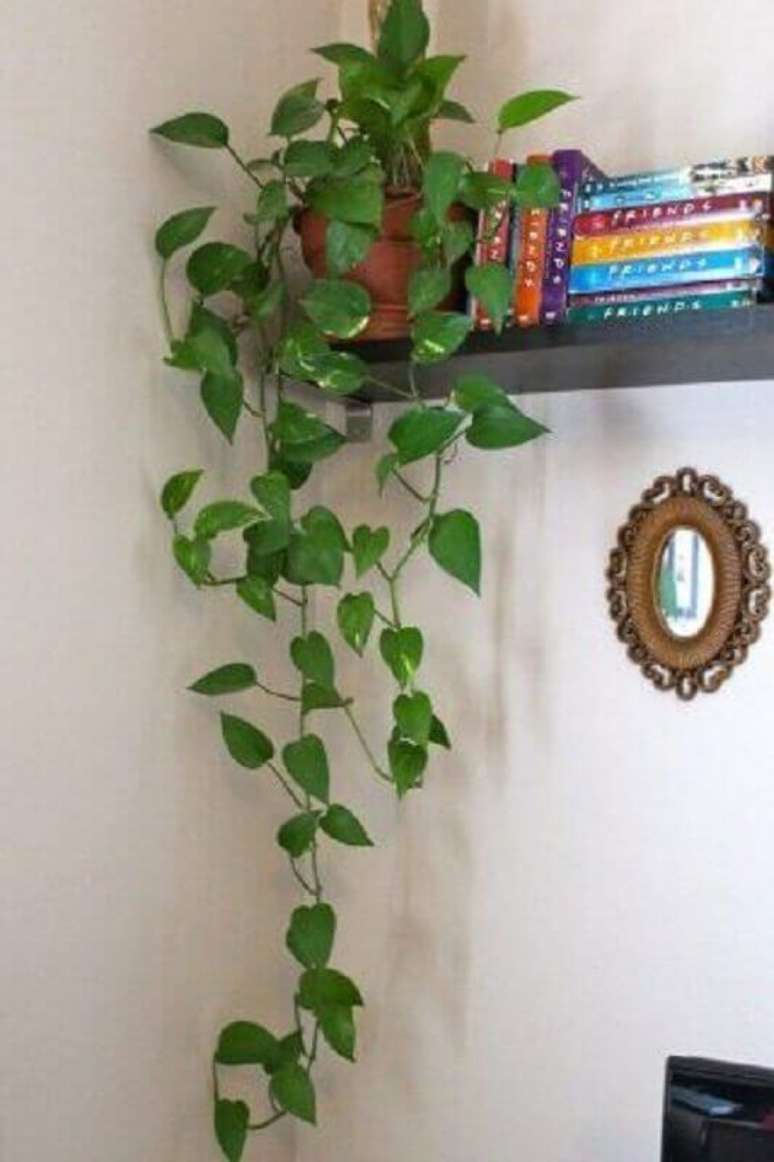 27. Decoração com planta pendente para prateleira de livros – Foto: Casa de Valentina