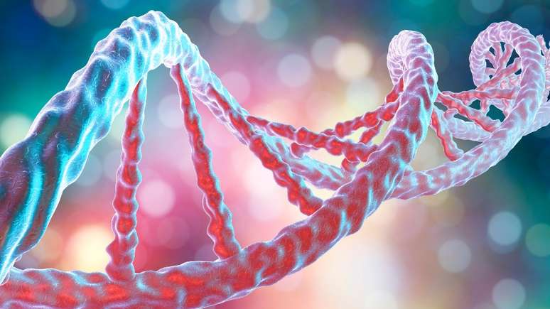 A t&eacute;cnica PCR exige aquecer o DNA para separar os fios das h&eacute;lices duplas