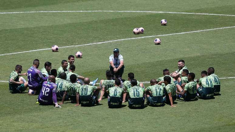 Vanderlei Luxemburgo mantém contato frequente com elenco por videoconferência (Cesar Greco/Agência Palmeiras)