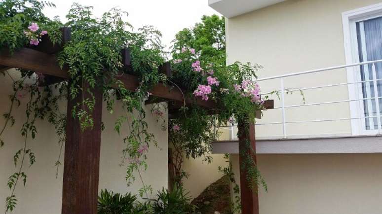 6- Pérgola com planta sete léguas. Fonte: Pinterest