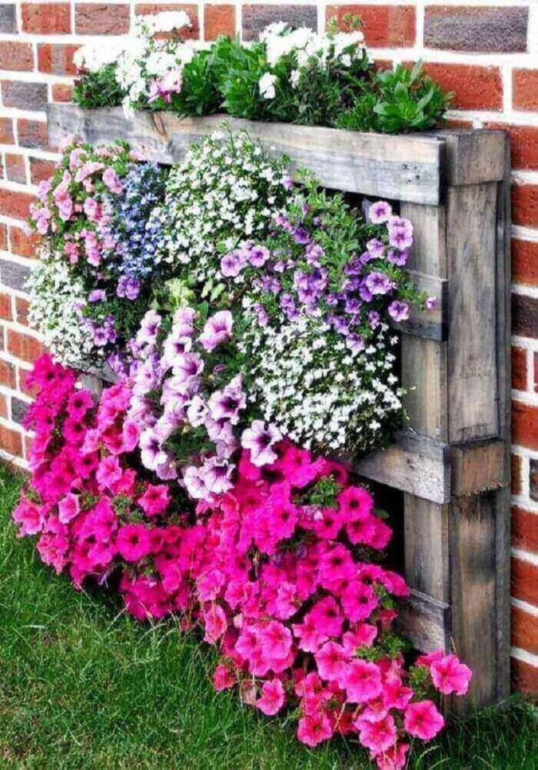 1. As flores que gostam de sol deixam o jardim externo colorido. Fonte: Pinterest