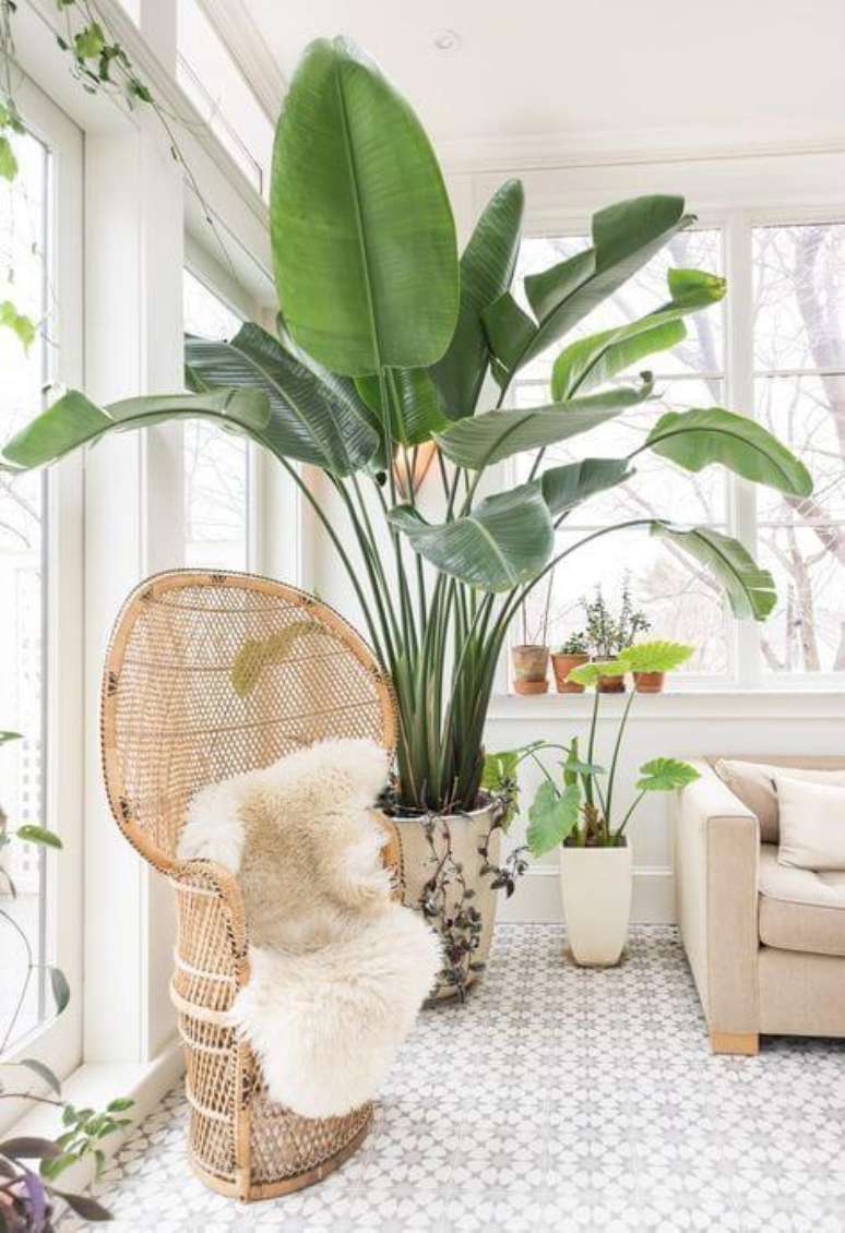 20. Sala iluminada com vaso grande de plantas – Via: Pinterest