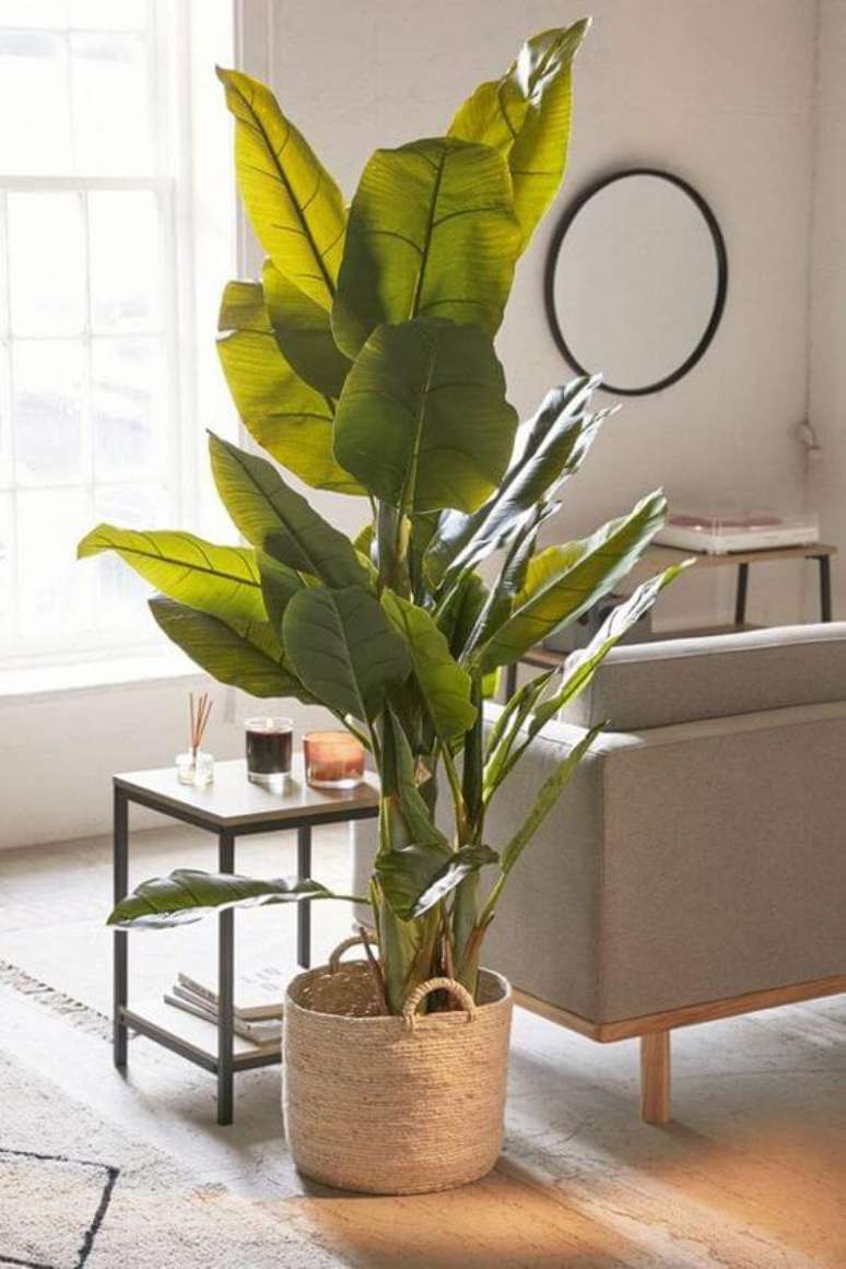 25. Sala moderna com vaso grande para planta – Via: Pinterest