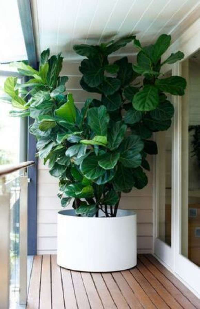 27. Varanda com vaso grande e planta alta na sacada – Via: Pinterest