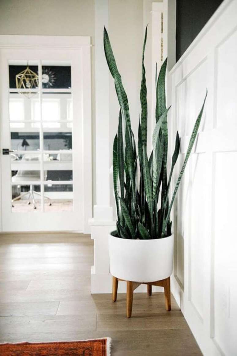 34. Vaso grande branco com planta espada de são jorge – Via: Pinterest