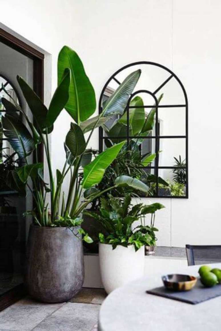 44. Sala de jantar com vasos grandes para plantas no canto, decorando o ambiente – Via: Pinterest