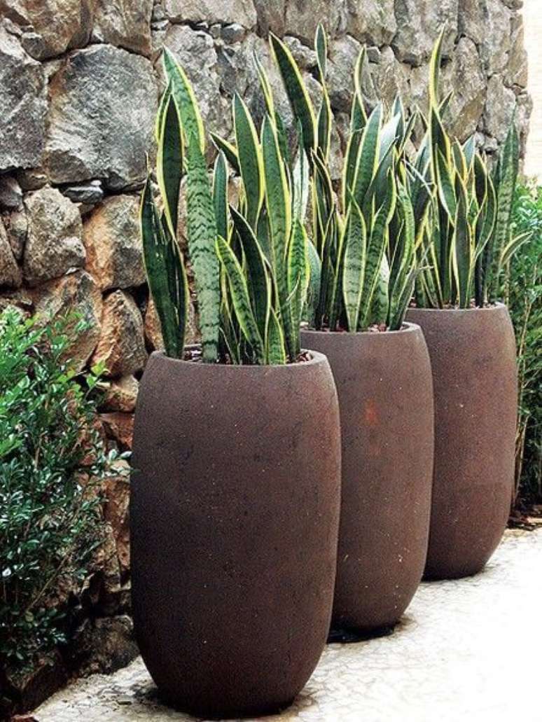 74. Use os vasos grandes para jardim – Via: Pinterest