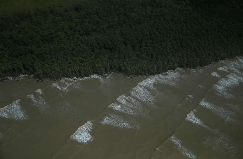 Trecho da Floresta Amaz&ocirc;nica na costa do Amap&aacute;
31/03/2017
REUTERS/Ricardo Moraes 
