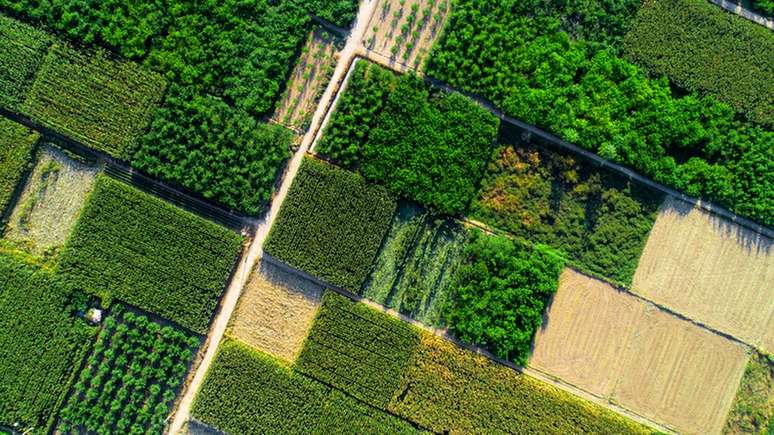 "Há grande problema de logística e distribuição. Precisamos valorizar circuitos locais de produção e consumo. Pensar mais nos produtos de proximidade, de estação, produtos frescos que estão mais próximos da gente e têm mais valor nutritivo, do que aqueles altamente processados"