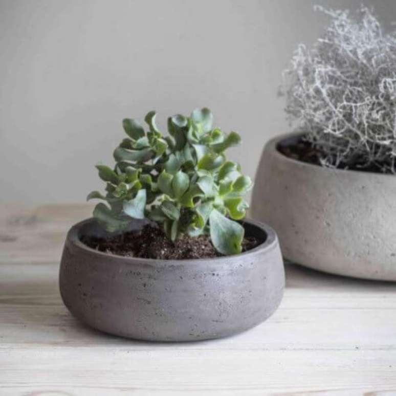 9. Vaso de cimento para plantas pequenas de jade – Via: Pinterest