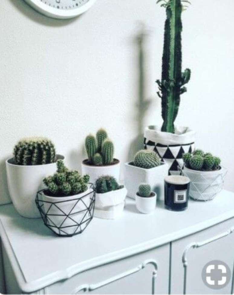 38. Plantas pequenas com vaso preto e branco – Via: Pinterest