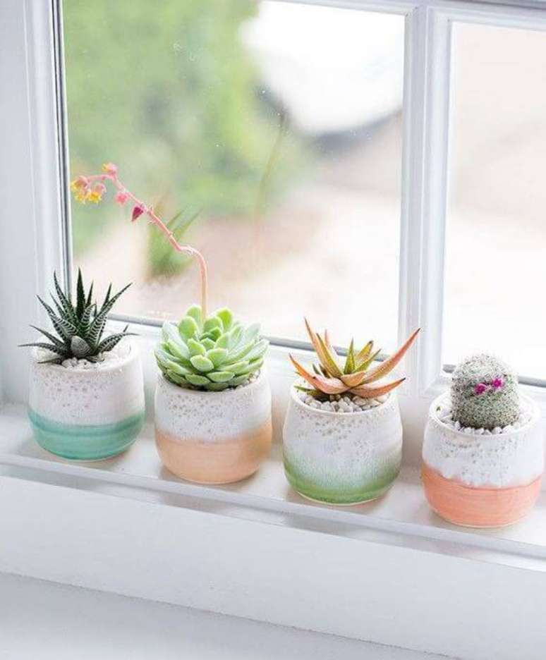 Plantas Pequenas: +55 Plantas com Flores Lindas para Cultivar em Casa