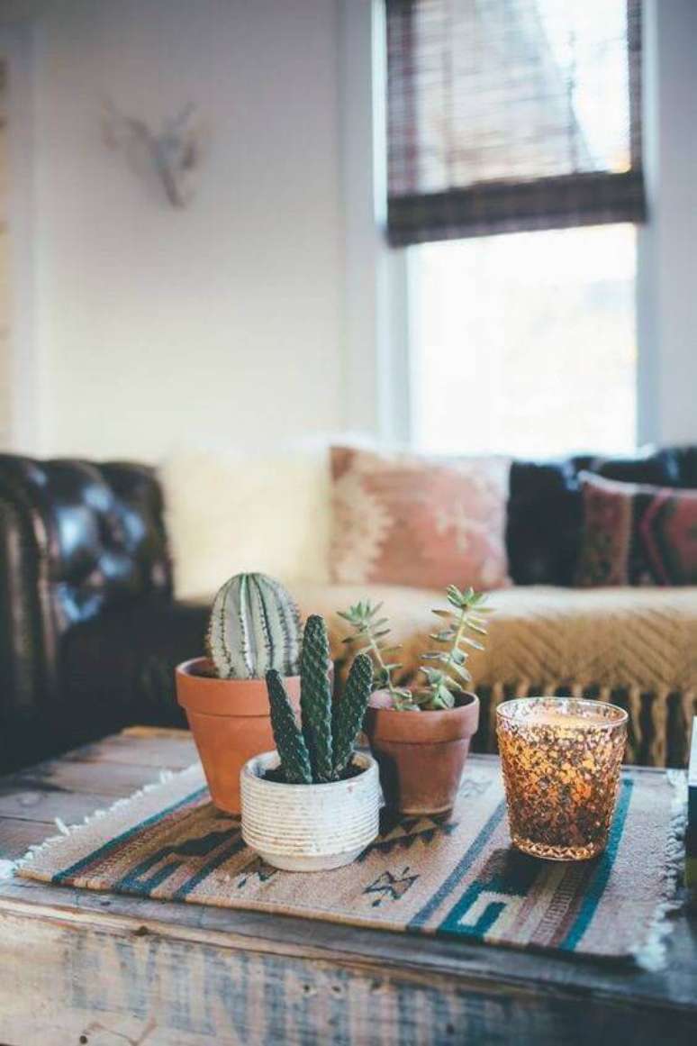 13. Plantas pequenas para sala de estar – Via: Claudia