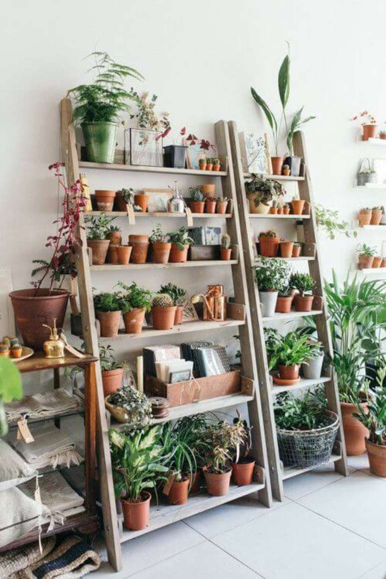 48. Plantas pequenas para apartamento rustico – Via: Pinterest