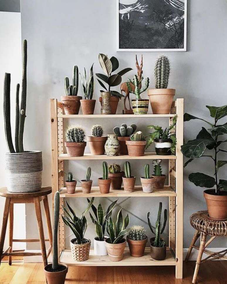 1. Plantas pequenas para casa com mini cactos na estante – Via: Pinterest