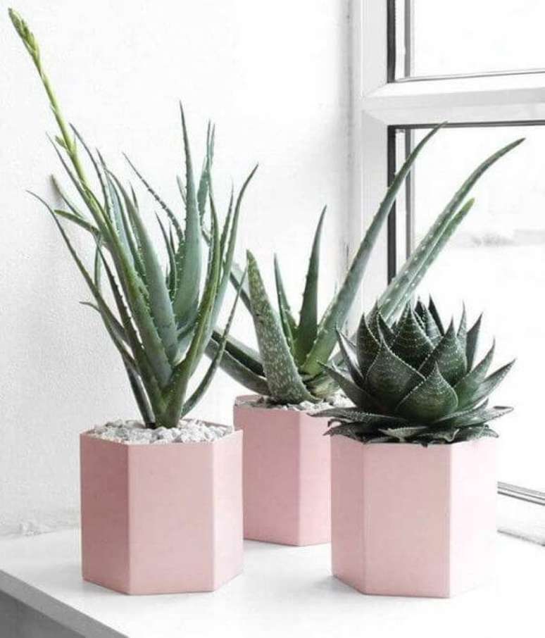 52. Vasos para plantas pequenas suculenta – Via: Pinterest