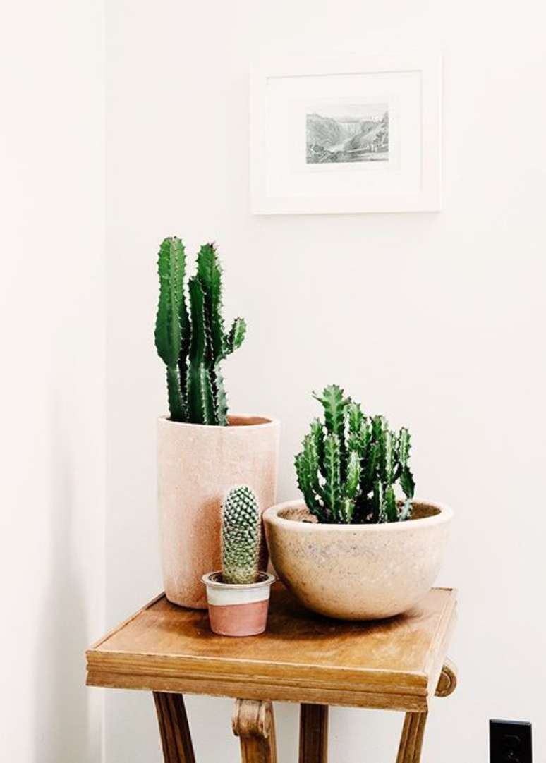 17. Plantas pequenas para decorar a casa moderna – Via: Pinterest
