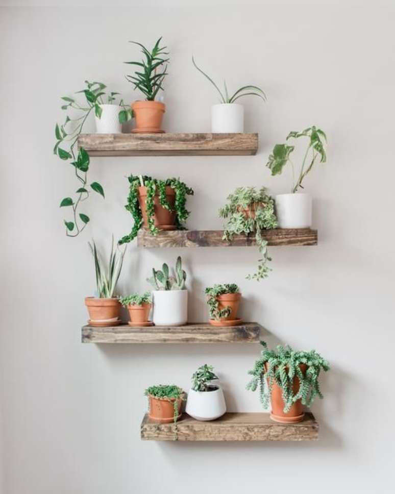 19. As plantas pequenas ficam lindas nas prateleiras – Via: Pinterest