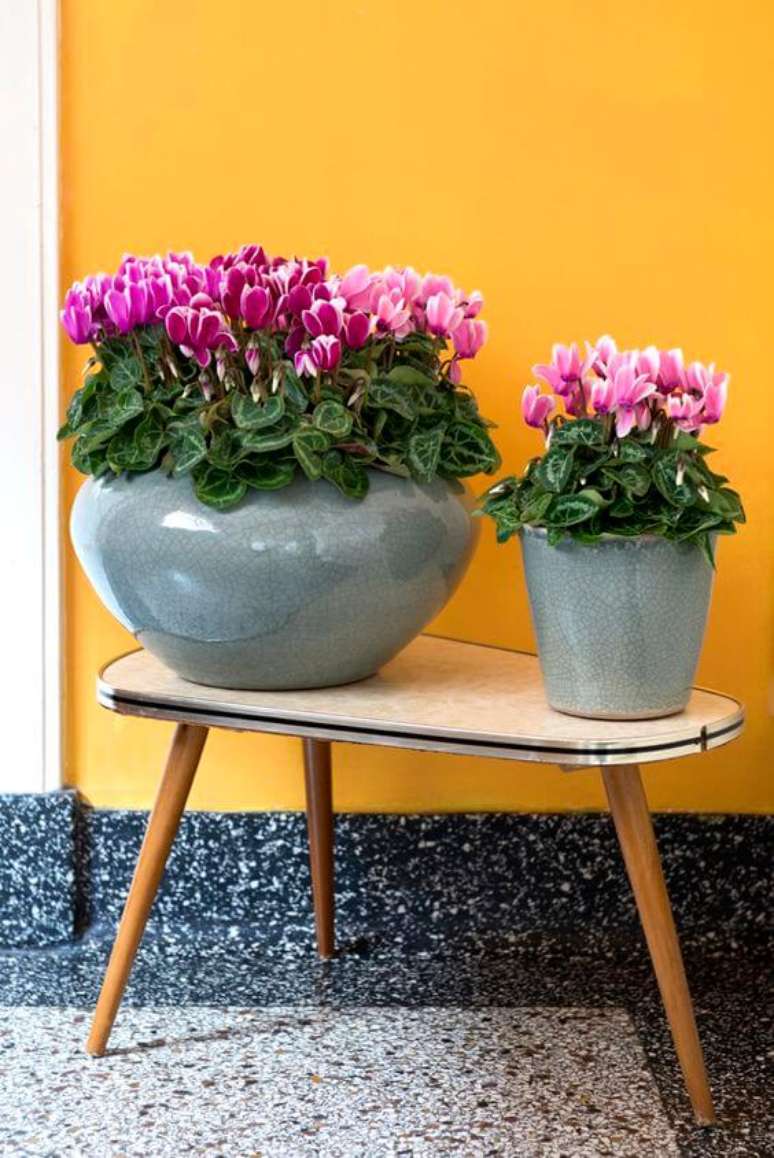 4. Vasos de plantas pequenas cyclane – Via: Pinterest
