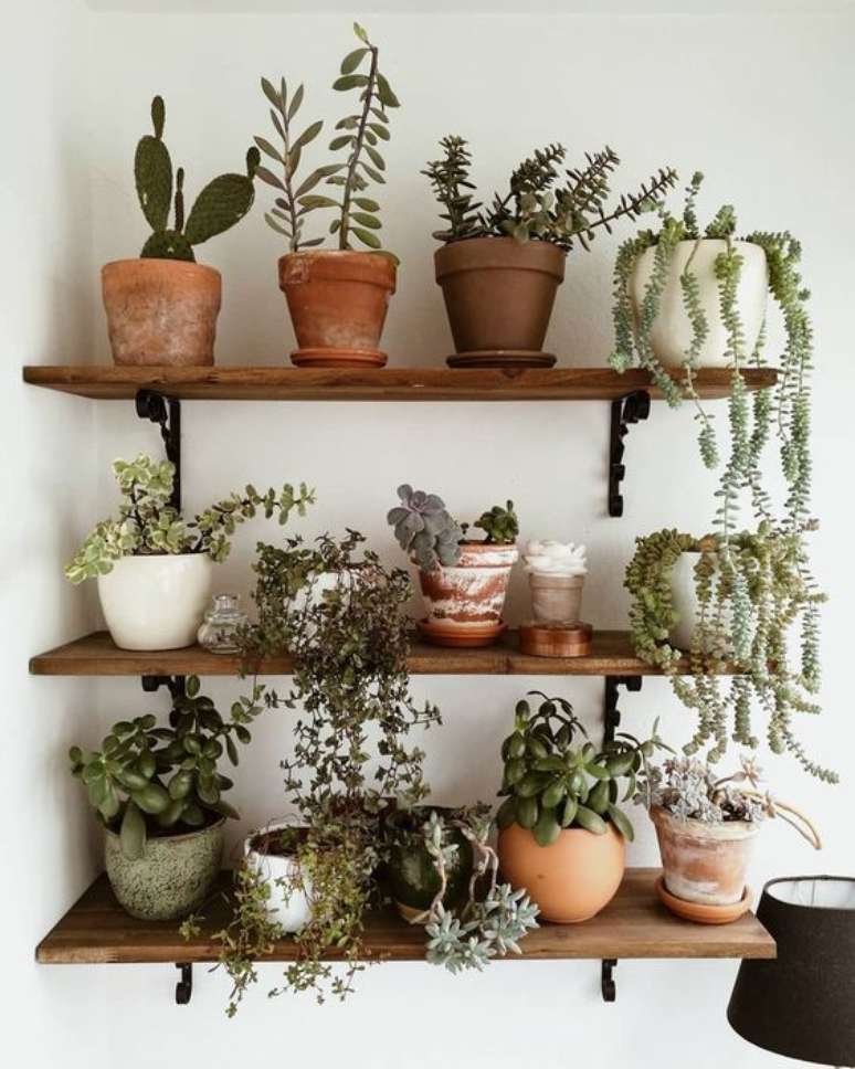 22. Vaso de plantas pequenas na prateleira de casa – Via: Pinterest