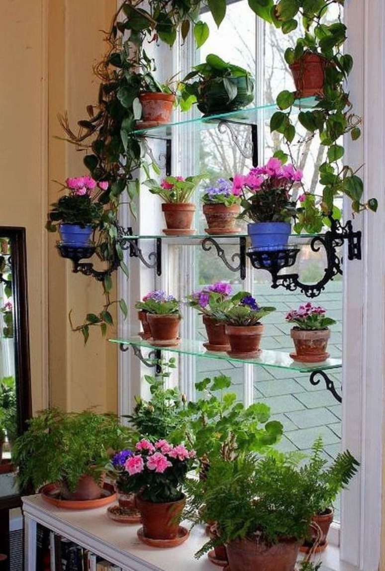 3. Vaso de plantas pequenas com violetas na janela – Via: Pinterest