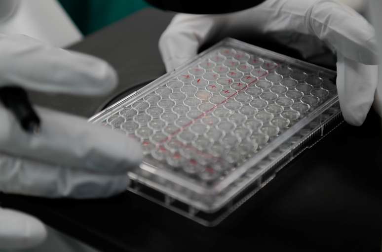 Cientista examina células com Covid-19 durante pesquisa de vacina em laboratório em São Petersburgo, na Rússia
20/05/2020 REUTERS/Anton Vaganov