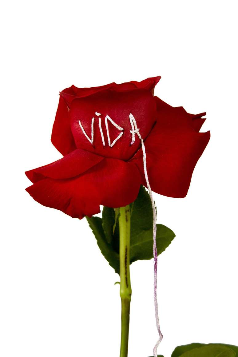 Obra Vida, de Paula Costa, para a coluna de Alice Ferraz&nbsp;