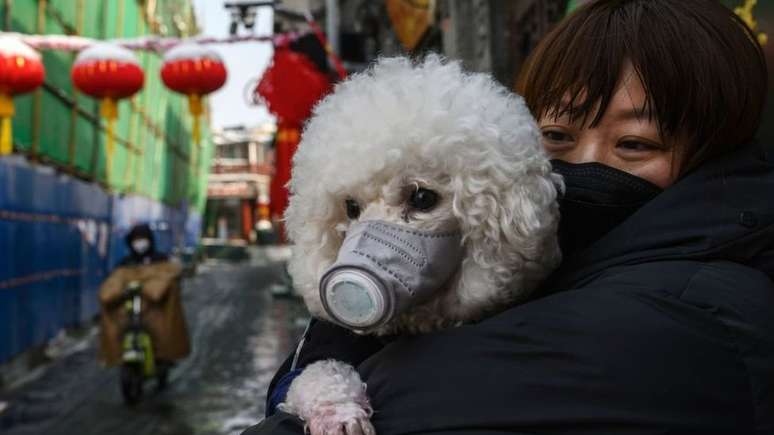 A China foi o primeiro país a passar pela pandemia e a começar a coletar dados importantes