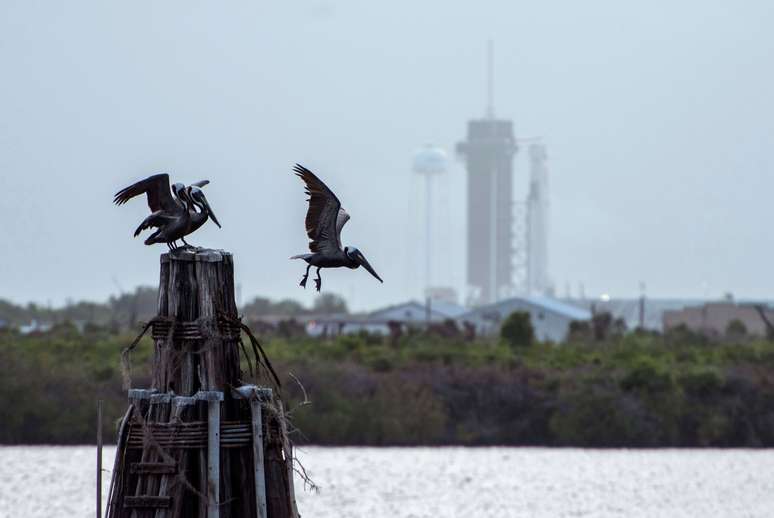 26/05/2020
 REUTERS/Steve Nesius