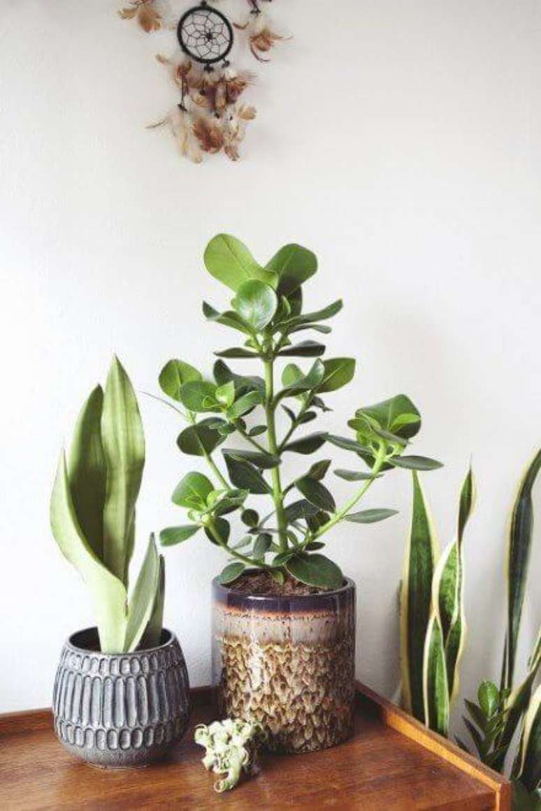 32. Vasos decorados com clusia – Via: Pinterest