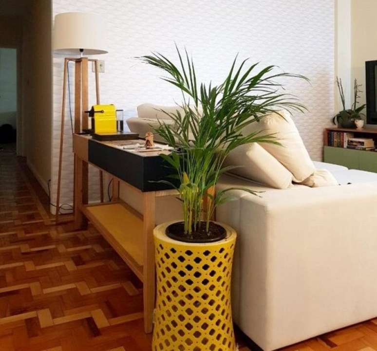 7. Coqueiro de jardim da espécie areca-bambu no apartamento. Fonte: Pinterest