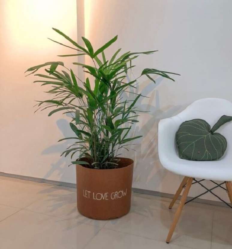 9. Coqueiro de jardim em vaso criativo decora o ambiente. Fonte: Pinterest