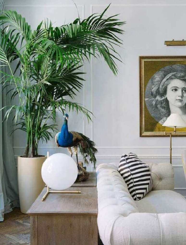 13. Salas clássicas ficam ótimas com coqueiro de jardim da espécie Ráfia. Fonte: Pinterest
