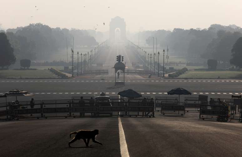 Macaco atravessa rua próxima ao palácio presidencial da Índia, em Nova Délhi, durante período de "lockdown" 
22/03/2020
REUTERS/Anushree Fadnavis